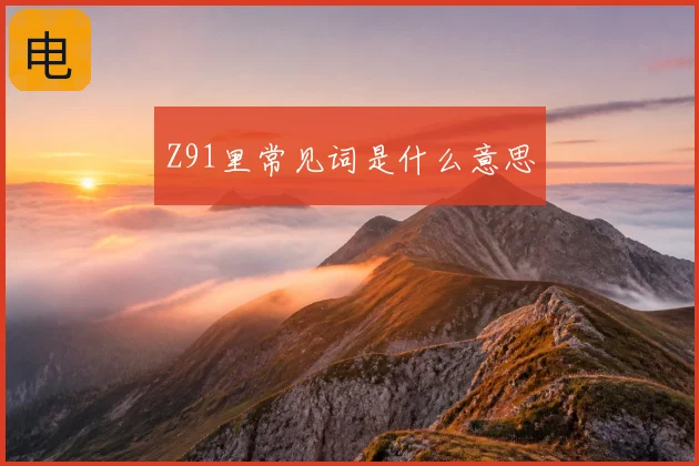 Z91里常见词是什么意思